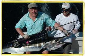 Striped Marlin