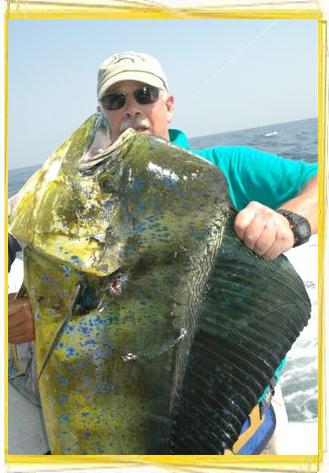 sailfishing, fly fishing, billfishing, sportfishing, Guatemala fishing